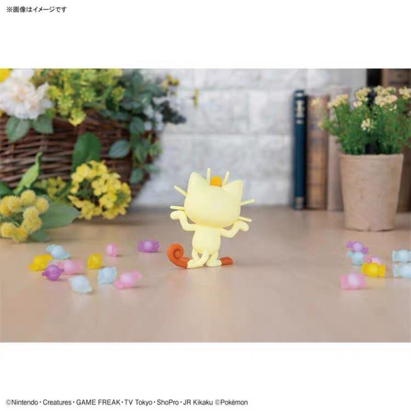Modèle en plastique authentiqu - Model Kit Quick Piplup avis et prix