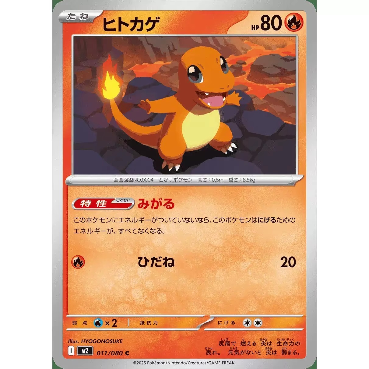 PokéMon Tcg Phantasmal Flames  - Model Kit Japanese avis et prix